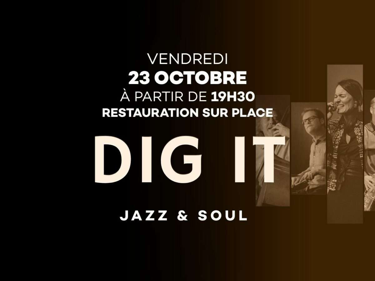Dig It en concert ! 23 Octobre 2026